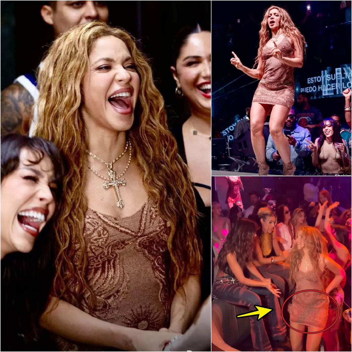 Cover Image for Shakira Was Forced To Put An Abrupt Stop To Her Performance At A Miami Club After People In The Crowd Appeared To ‘Film Up Her Dress’